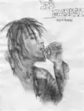 thumbnail.webp