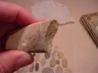 unknown3.webp