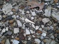 P2150842_resize.webp