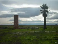 nice 006.webp