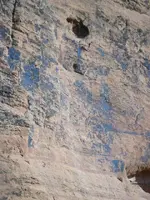 FL010032.webp