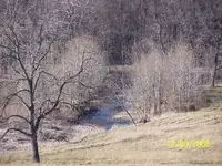 12-30 creek.webp