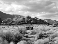 FL010039.webp