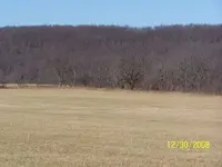 12-30 hunt site.webp