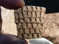 sherd001a.webp