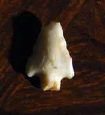 point001a.webp