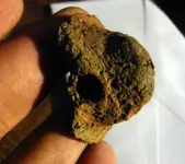 sherd002a.webp