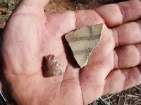 sherd and pointA.webp