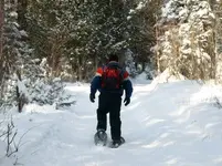 snowshoe1.webp