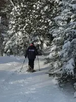snowshoe2.webp