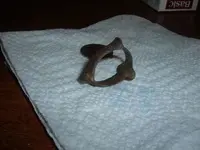 DSCF1790.webp