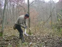2nd big fall post 007.webp