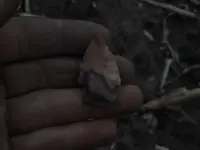 DSCN0152.webp