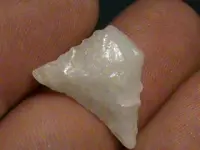 white HB1.webp