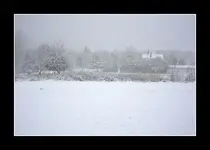 snow.webp