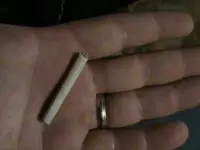 feb pipe stem2.webp
