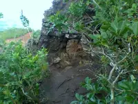 0101091422a.webp