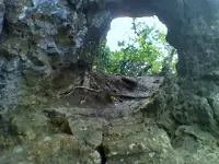 0101091429a.webp