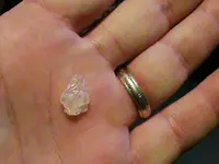 feb cryst BP.webp