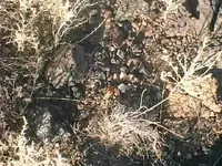 lithics&ceramics.webp