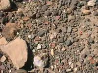 shards4.webp
