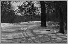 IMG_0804   ski trail.webp