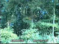 !EW008026.webp