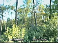!1EW008005.webp