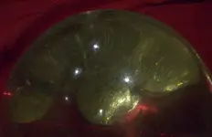 lasercrystalball.webp