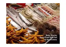 BeijingFastFood2_Page_04.webp