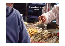 BeijingFastFood2_Page_06.webp