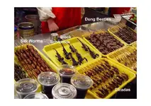 BeijingFastFood2_Page_11.webp