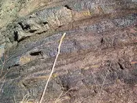 coal mining 001.webp