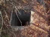coal mining 005.webp