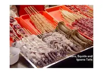 BeijingFastFood2_Page_15.webp