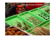 BeijingFastFood2_Page_16.webp