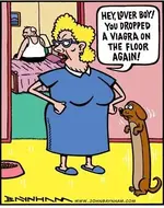 dog1.webp
