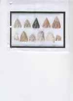 Arrowheads 001.webp
