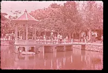 hongkong.webp