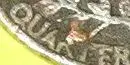 IM001631.webp