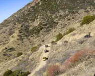 10-Jeeps.webp