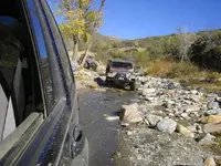 24-Jeeps.webp