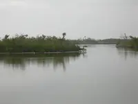 LagoonByBeachDay.webp