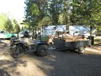 Fire wood.webp