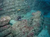 wreck pic.webp