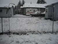 snow merc (3).webp
