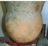 big pot.webp