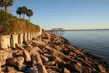 GULF..webp