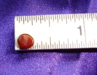 Red bead back.webp