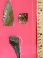 2 arrowheads sharks tooth2.webp